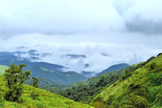 Photo of Get 'high' in Coorg with these amazing treks 3/3 by Philip John
