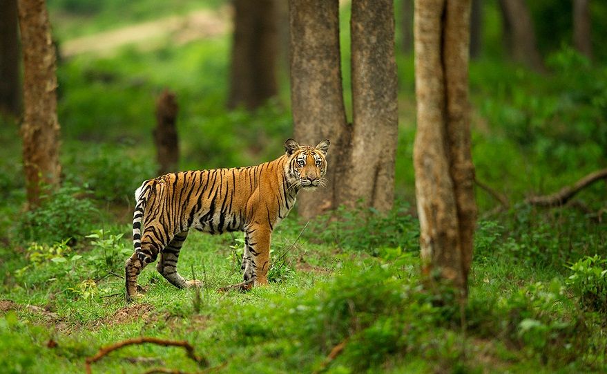 Photo of 5 Memorable Honeymoon Spots in Karnataka 4/6 by Philip John