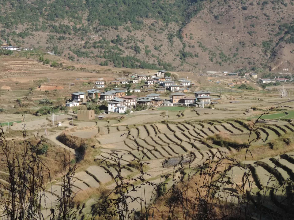 Photo of Punakha, Bhutan by Hemlata Gab