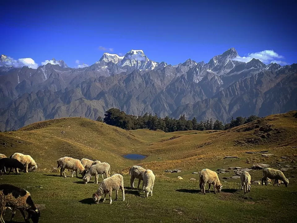 Photo of Kuari Pass Trek 2024: Camping Adventure by Sahil khan
