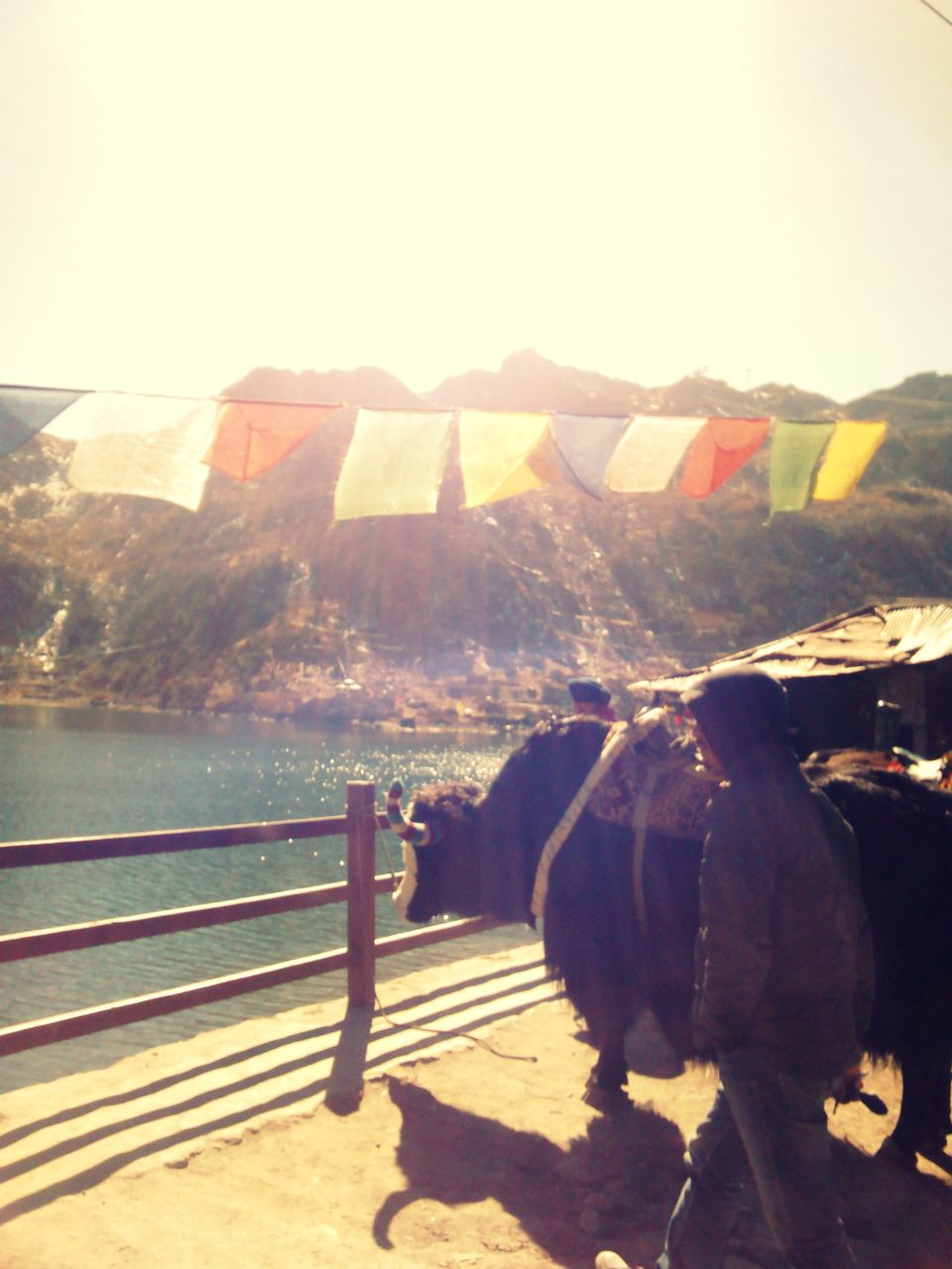 Photo of Breath in the Lama Land - Gangtok 10/15 by Aishwarya Swarup