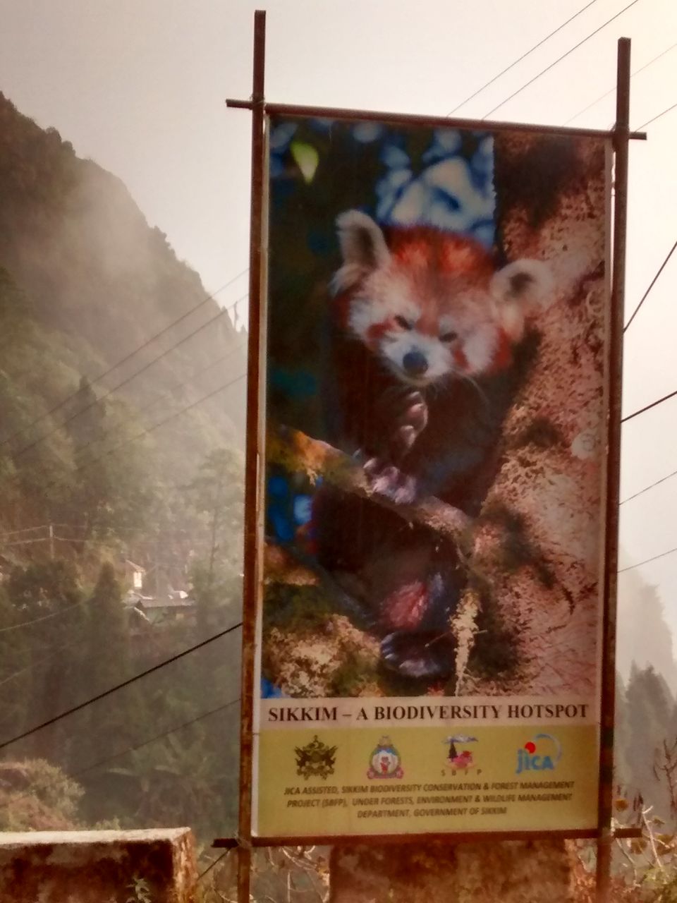 Photo of Breath in the Lama Land - Gangtok 14/15 by Aishwarya Swarup