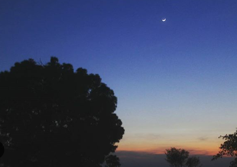 Photo of Dharamshala, Himachal Pradesh, India by Diksha Ranjan