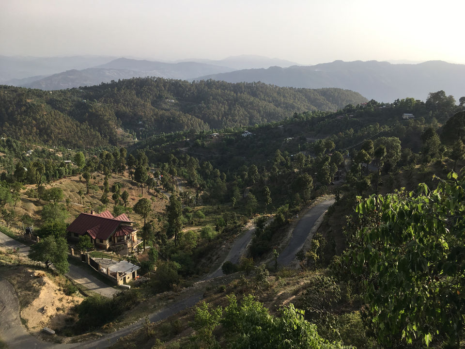 Photo of My Stay In Plumrose. by Diksha Ranjan