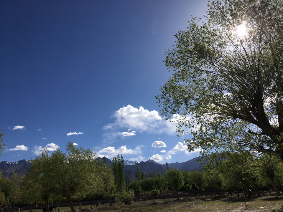 Photo of Why You Should Camp In Leh Ladakh? by Diksha Ranjan
