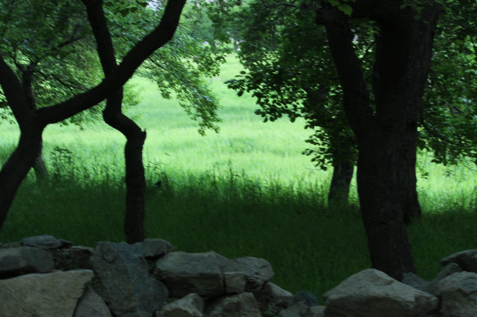 Photo of Hidden Paradise- Turtuk Village, Ladakh by Diksha Ranjan