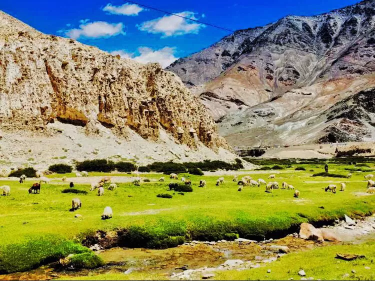 Photo of India by Diksha Ranjan