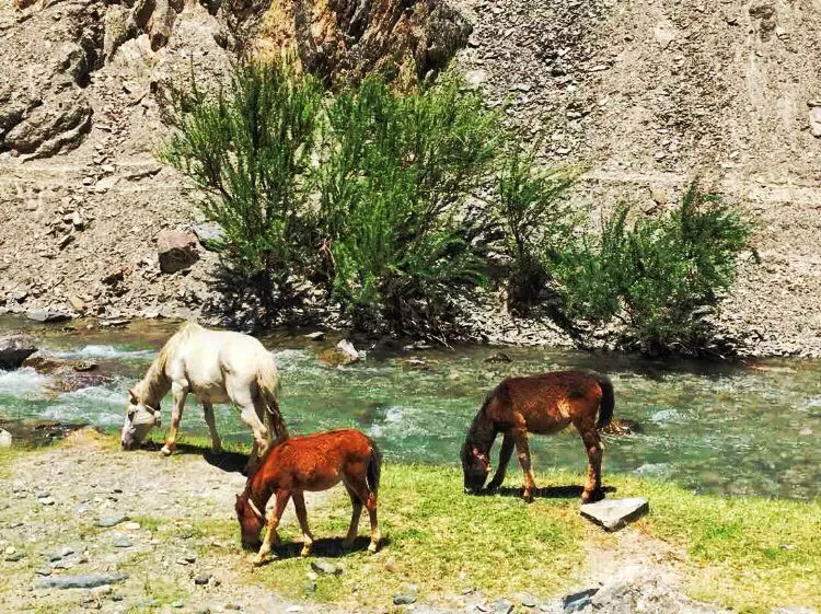 Photo of India by Diksha Ranjan