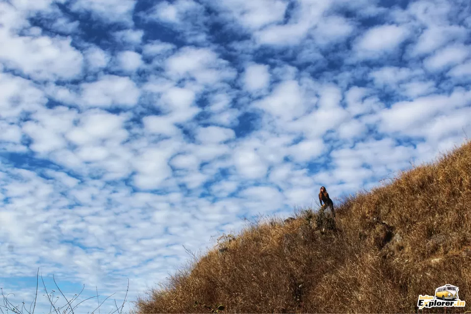 Photo of Nag Tibba A Weekend Thriller. by Diksha Ranjan