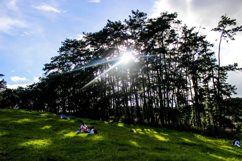 Photo of Shillong, Meghalaya, India by Lakshay Kalra