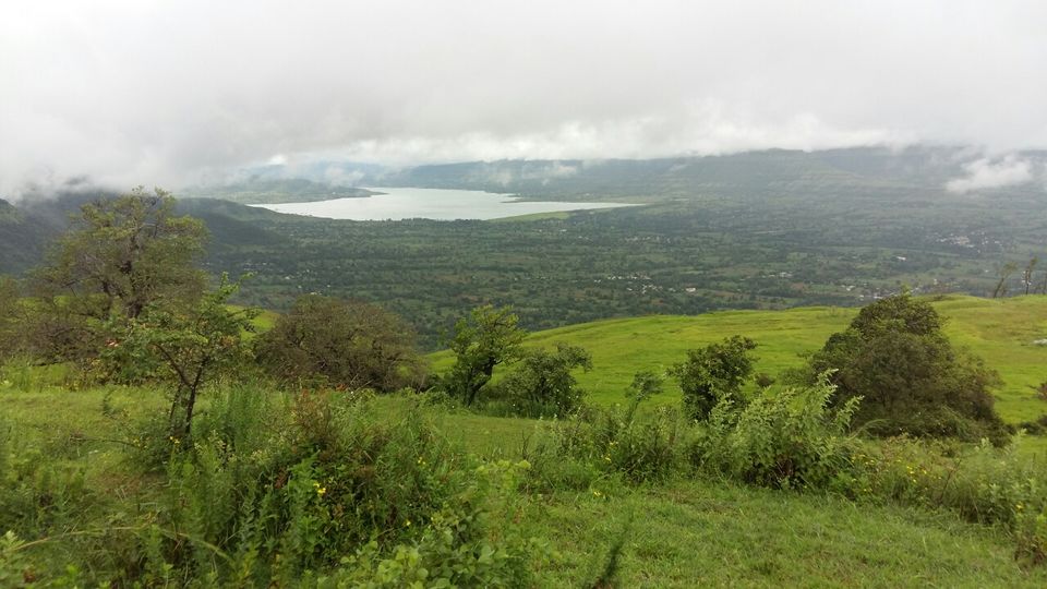 Photo of Kaas plateau-valley of flowers by Jagan Nadar