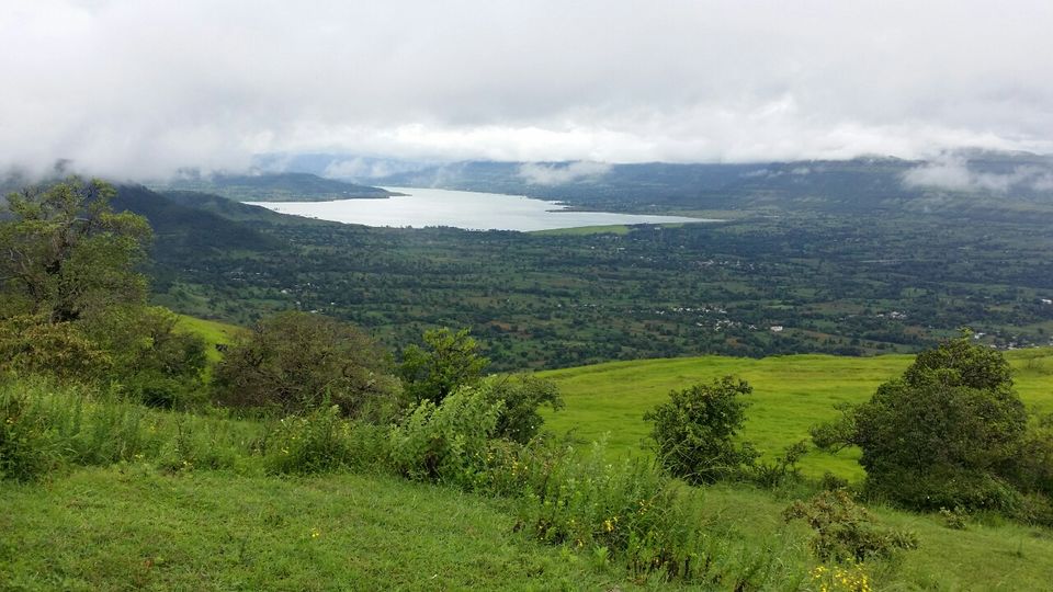 Photo of Kaas plateau-valley of flowers by Jagan Nadar