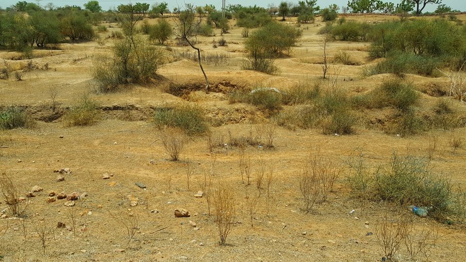 Photo of Rawatsar, Rajasthan, India by Jagan Nadar