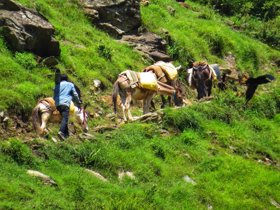 Photo of Sonamarg by Jagan Nadar