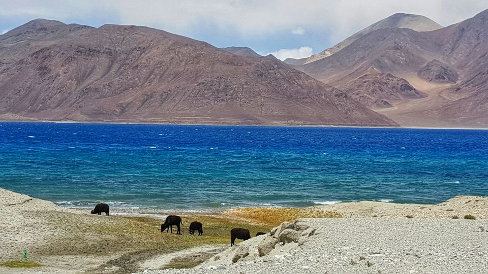 Photo of Hanle by Jagan Nadar