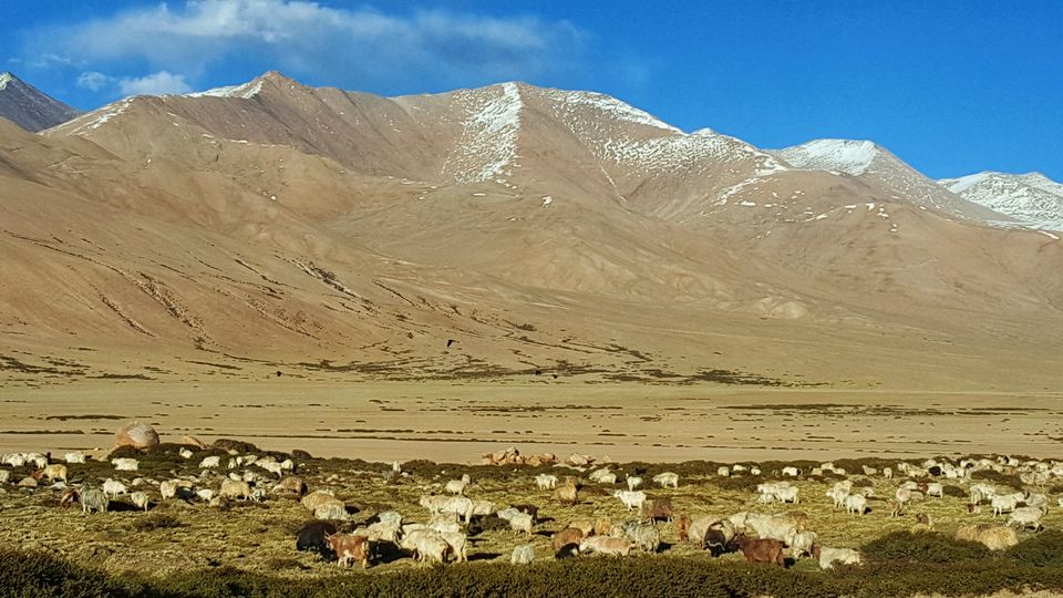 Photo of Hanle by Jagan Nadar