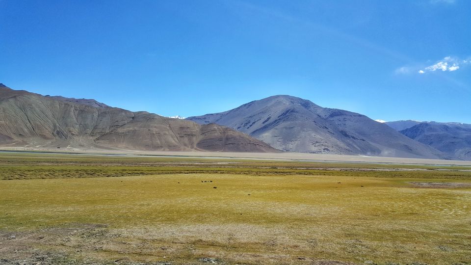 Photo of Tsomoriri Lake View Point by Jagan Nadar