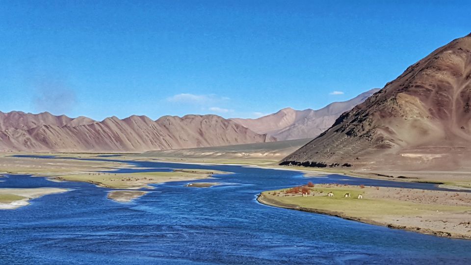 Photo of Tsomoriri Lake View Point by Jagan Nadar