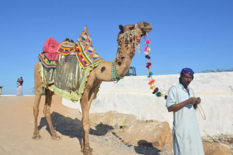 Photo of Kalo Dungar, Kalo Dungar, Gujarat 370510 by Jagan Nadar