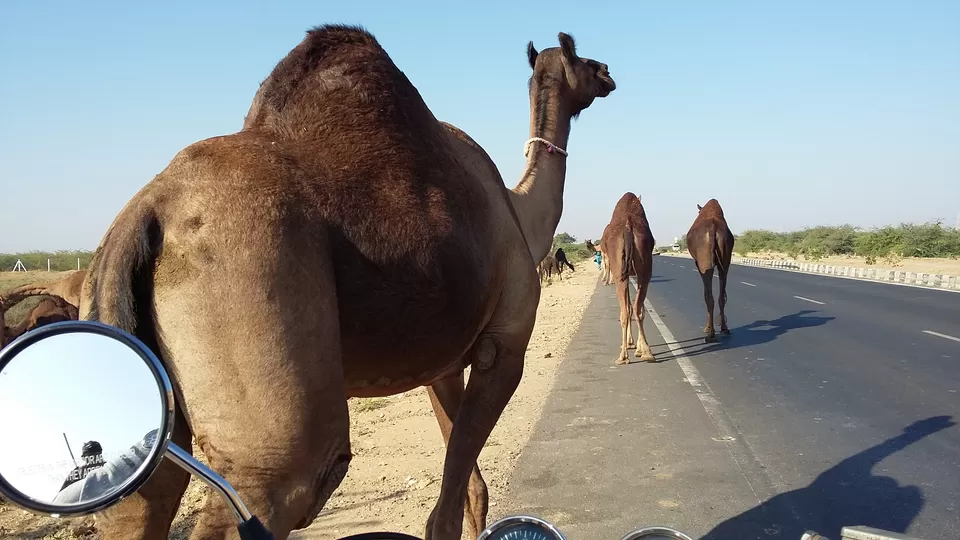 Photo of Radhanpur, Radhanpur, Gujarat 385340, India by Jagan Nadar