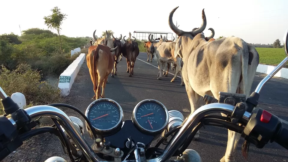 Photo of Radhanpur, Radhanpur, Gujarat 385340, India by Jagan Nadar