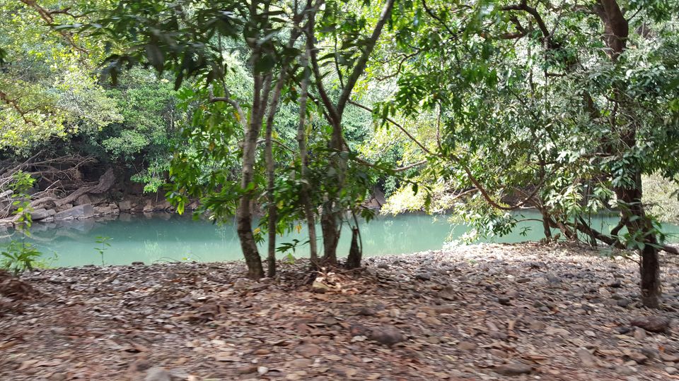 Photo of Dudhsagar Falls, Sonaulim, Goa, India by Jagan Nadar
