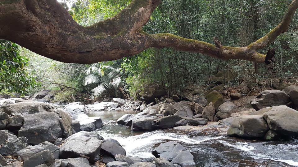 Photo of Dudhsagar Falls, Sonaulim, Goa, India by Jagan Nadar