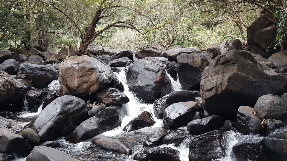 Photo of Dudhsagar Falls, Sonaulim, Goa, India by Jagan Nadar