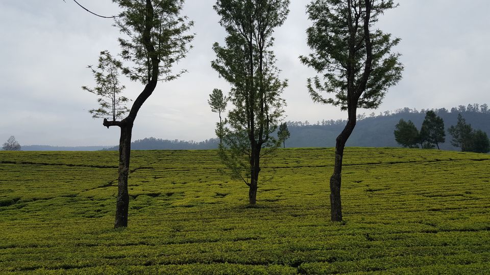 Photo of Kochi, Kerala, India by Jagan Nadar