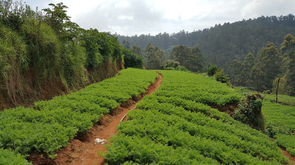 Photo of Pykara Boat House , Ooty, Pykara, Tamil Nadu, India by Jagan Nadar