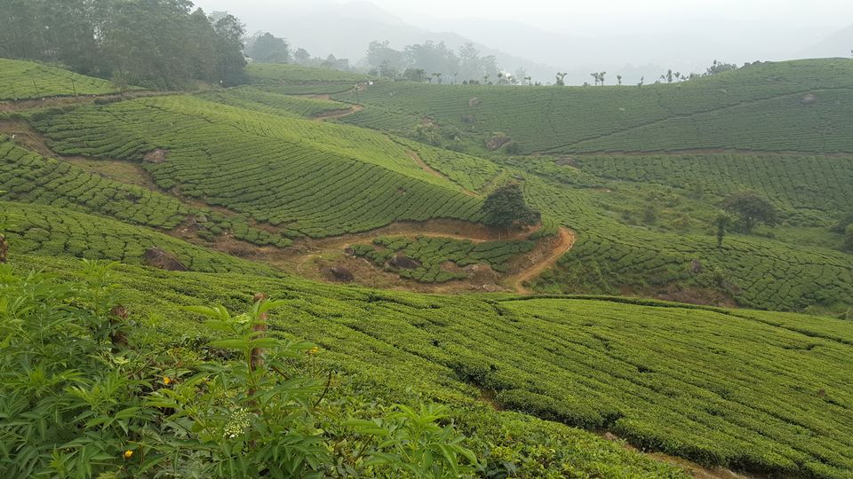 Photo of Grand Southindian Road Trip- memorable 7500km for 30 Days. by Jagan Nadar