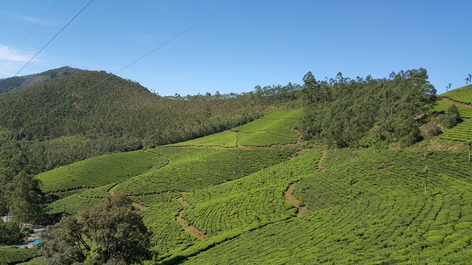 Photo of Kodaikanal, Tamil Nadu, India by Jagan Nadar
