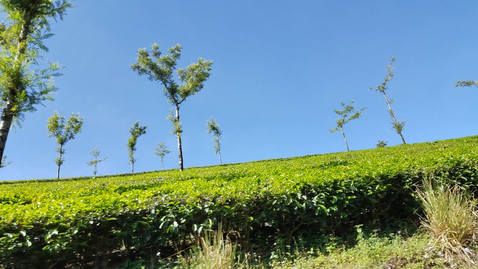 Photo of Kodaikanal, Tamil Nadu, India by Jagan Nadar