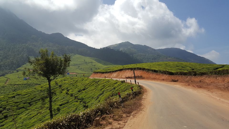 Photo of Kodaikanal, Tamil Nadu, India by Jagan Nadar