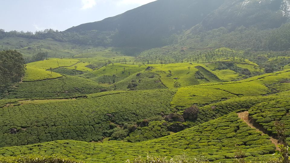 Photo of Kodaikanal, Tamil Nadu, India by Jagan Nadar