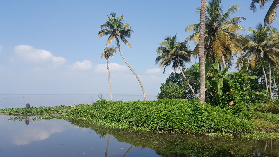Photo of Alleppey, Kerala, India by Jagan Nadar