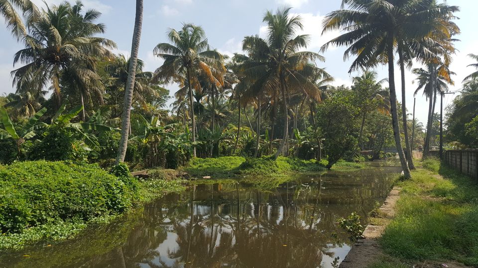 Photo of Alleppey, Kerala, India by Jagan Nadar