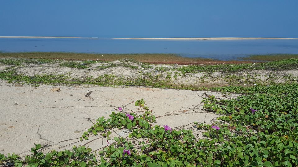 Photo of Dhanushkodi, Tamil Nadu, India by Jagan Nadar