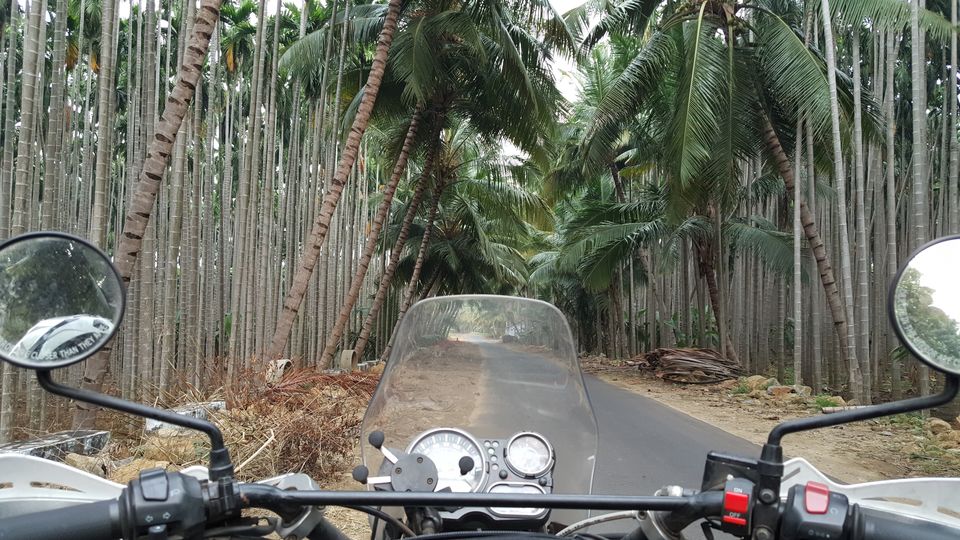 Photo of Salem, Tamil Nadu, India by Jagan Nadar