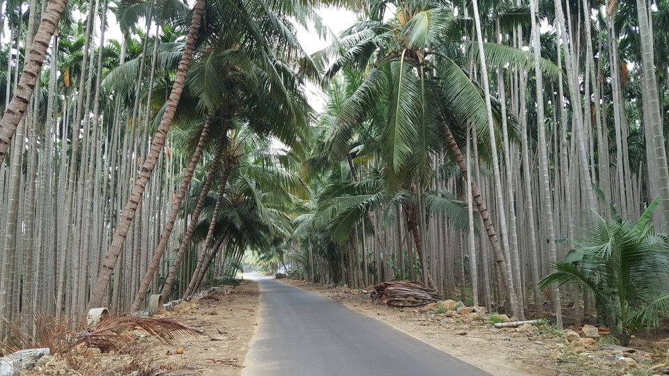 Photo of Salem, Tamil Nadu, India by Jagan Nadar