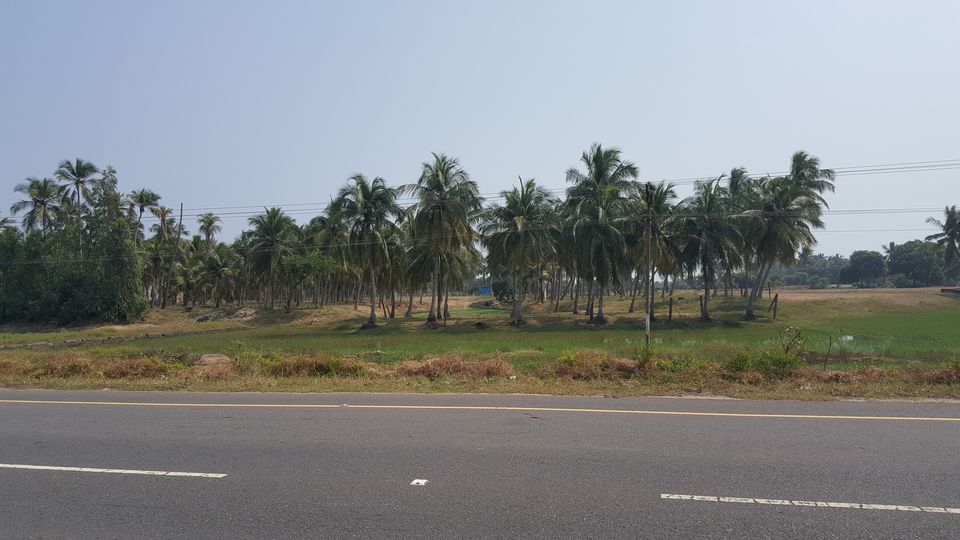 Photo of Chennai, Tamil Nadu, India by Jagan Nadar