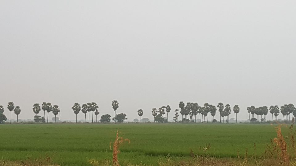 Photo of Jammalamadugu, Andhra Pradesh, India by Jagan Nadar