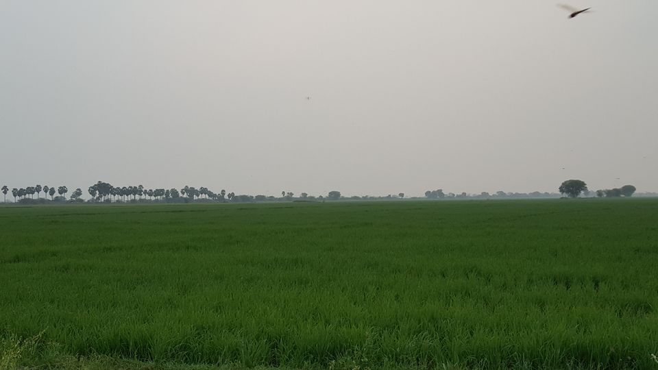 Photo of Jammalamadugu, Andhra Pradesh, India by Jagan Nadar