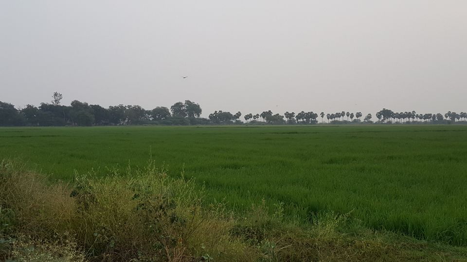 Photo of Jammalamadugu, Andhra Pradesh, India by Jagan Nadar