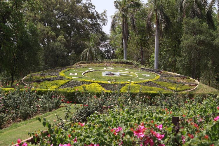 Photo of Sayaji Baug, Kala Ghoda Circle, Sayajigunj, Vadodara, Gujarat, India by Suruchi Bhavsar