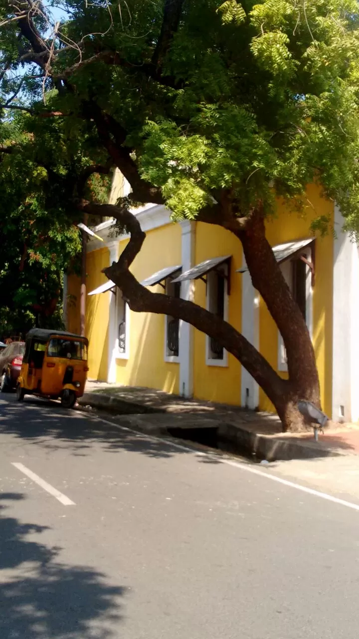 Photo of Suffren Street, White Town, Pondicherry, Puducherry, India by Suruchi Bhavsar