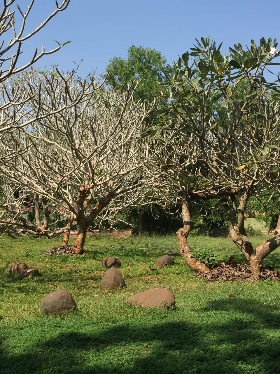 Photo of Auroville, Pondicherry, India by Suruchi Bhavsar