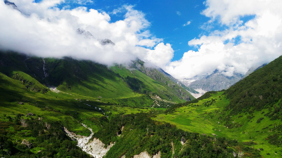 Photo of Valley of Flowers National Park, Chamoli, Uttarakhand, India by Shivangi Jain