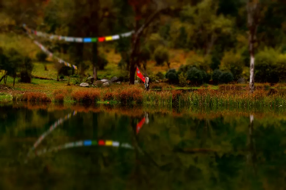 Photo of Thimphu, Bhutan by Shivangi Jain