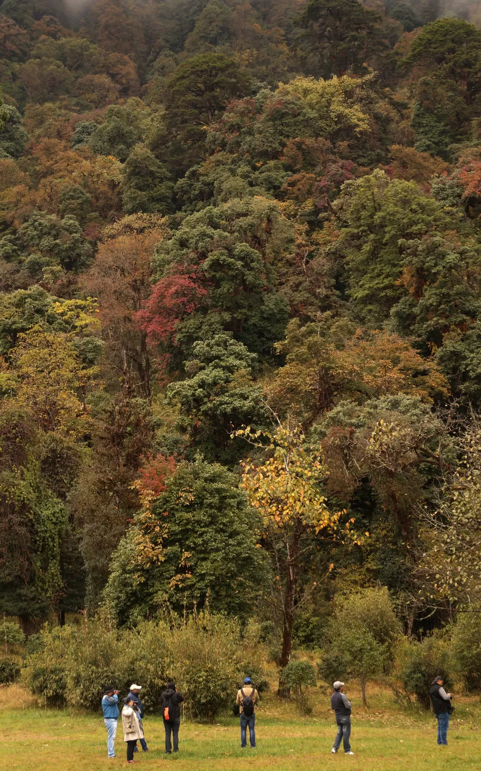 Photo of Thimphu, Bhutan by Shivangi Jain